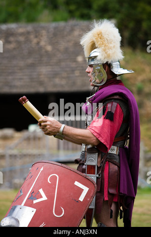 Roman reenactor dressed as a Centurion at a Roman army reenactment ...