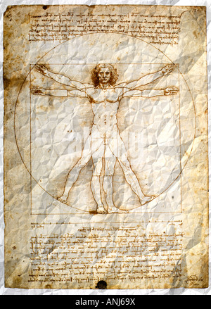 Vitruvian Man by Leonardo da Vinci  on wrinkled paper Stock Photo