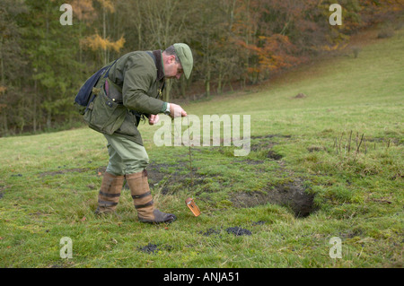 Searching for ferrets down rabbit hole with radio receiver Stock Photo