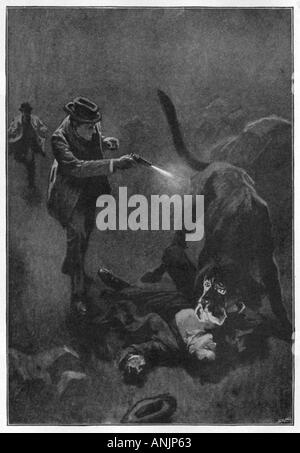 Holmes Hound Baskerville Stock Photo