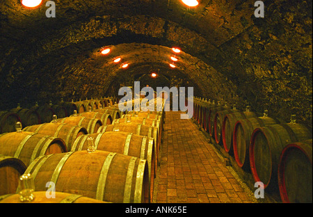 The Kiralyudvar winery: Rows of barrels with Tokaj wine with glass bung hole stoppers in the ageing cellar. Kiralyudvar (meaning “King’s Court”)is run by Istvan Szepsy, considered maybe the best winemaker in Tokaj. Stock Photo