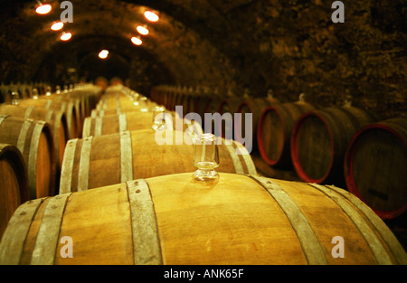 The Kiralyudvar winery: Rows of barrels with Tokaj wine with glass bung hole stoppers in the ageing cellar. Kiralyudvar (meaning “King’s Court”)is run by Istvan Szepsy, considered maybe the best winemaker in Tokaj. Stock Photo