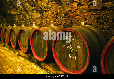 The Kiralyudvar winery: Rows of barrels with Tokaj wine with glass bung hole stoppers in the ageing cellar. 2002 marked on the barrel. Kiralyudvar (meaning “King’s Court”)is run by Istvan Szepsy, considered maybe the best winemaker in Tokaj. Stock Photo
