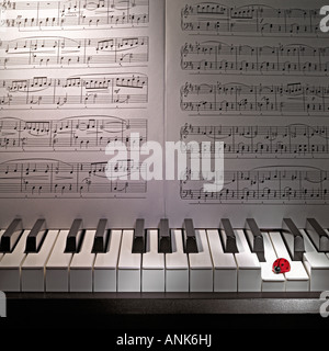 Red ladybug is sitting on white piano keyboard with sheet music on the background Stock Photo