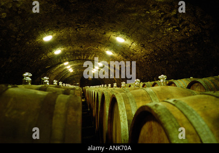 The Kiralyudvar winery in Tarcal, Tokaj: An underground cellar tunnel with barrels of aging Tokaj wine. Kiralyudvar (meaning “King’s Court”)is run by Istvan Szepsy, considered maybe the best winemaker in Tokaj. Stock Photo