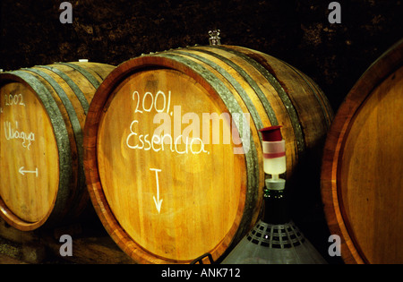 The Kiralyudvar winery in Tarcal, Tokaj: An underground cellar tunnel with a barrel of the rare and exclusive Tokaj Essencia and a demijohn. Kiralyudvar (meaning “King’s Court”)is run by Istvan Szepsy Stock Photo