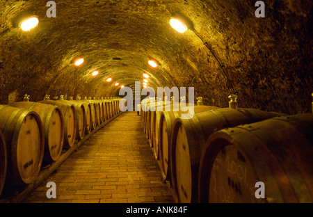 The Kiralyudvar winery: Rows of barrels with Tokaj wine with glass bung hole stoppers in the ageing underground cellar. Stock Photo
