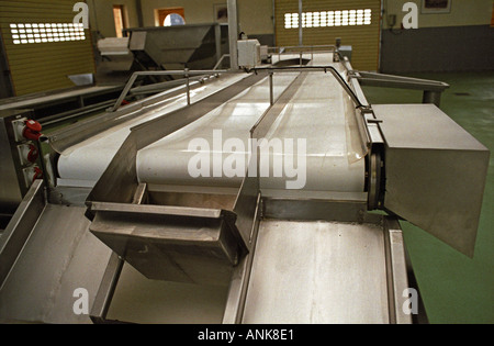 Inside the Oremus winery in Tolcsva, Tokaj – very modern wine making equipment. A grape sorting table (“table de tri”, specially designed to allow for sorting the grapes in two different qualities: aszu “rotten” berries and normal grapes Stock Photo