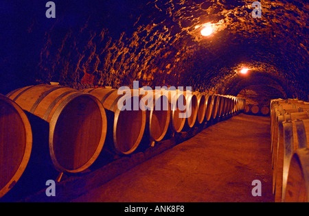 The Oremus winery in Tolcsva, Tokaj: New oak barrels in the underground cellar. Oremus is one of the few who uses silicon stoppers (and not wood or glass) for the barrels. Stock Photo