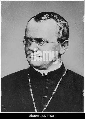 Gregor Mendel Stock Photo