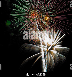Firework burst-off high at the night sky Stock Photo