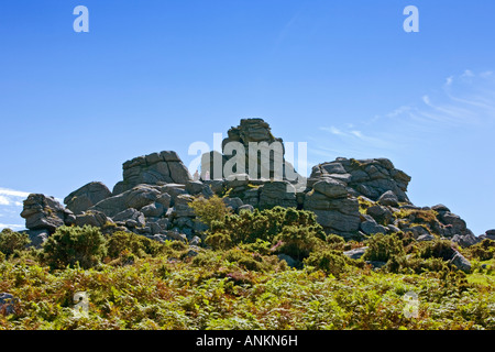 Tourists on Bonehill rocks on Dartmoor Devon England UK Stock Photo