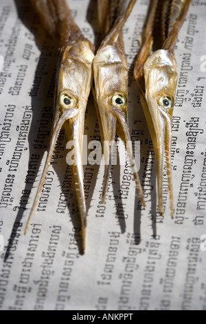 Dried Fish on sale at market in Phnom Penh Cambodia Stock Photo