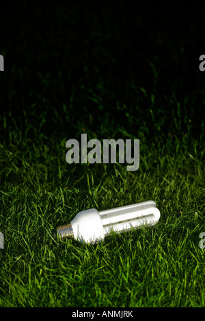 Light bulb in green grass Stock Photo - Alamy