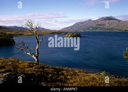 Loch Maree in the Scottish Highlands Stock Photo