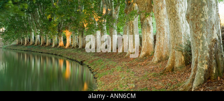 France Languedoc Roussillon Near Carcassonne Canal du midi Stock Photo