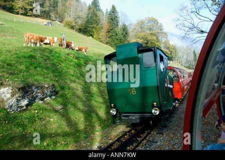 Mountain Train Rothorn Bahn between Brienz and Brienzer Rothorn s peak ALPS SWITZERLAND Stock Photo