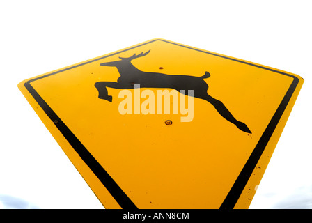 Sign yellow warning deer -Fotos und -Bildmaterial in hoher Auflösung – Alamy