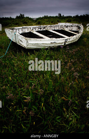 Old rowing boat beached on a marsh Stock Photo