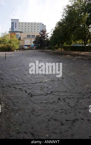 Hemel Hempstead Water Gardens Pond drought September 2006 Stock Photo