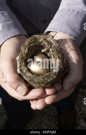 savings two cupped hands holding a small birds nest containing two golden eggs representing your nest-egg Stock Photo
