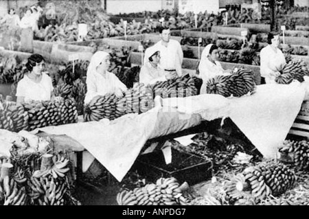 Archive photograph of women preparing bananas for export. The Molino De Gofio ethnographic museum in Hermigua, La Gomera. Stock Photo