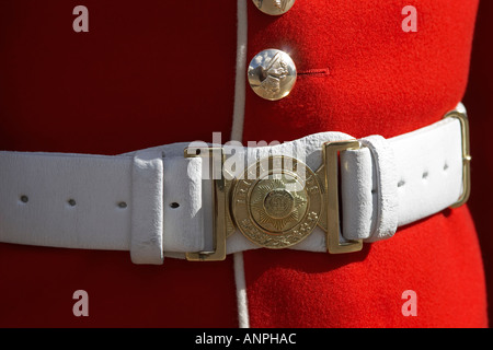 Irish Army Belt & Buckle