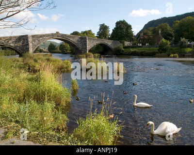 A 17th century stone arched bridge spans the river Conwy in Llanwrst North Wales UK Stock Photo