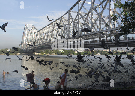 Birds take flight while men bathe in the Hooghly River near the Mullick Ghat in Kolkata, India. Stock Photo