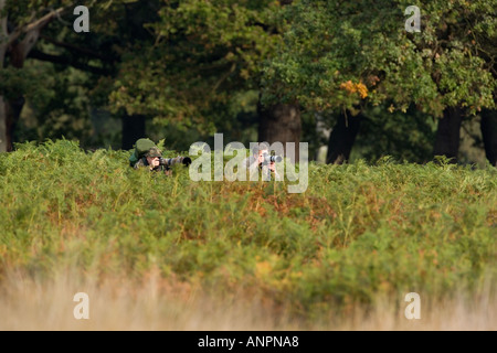 two men taking cover in bracken with long lenses and monopods trying to photograph deer richmond park london Stock Photo