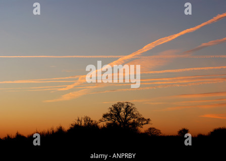 Aircraft vapour trails at dawn Stock Photo