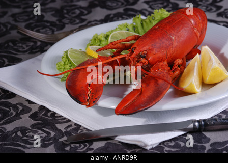 Lobster Dinner served on plate with lemon Stock Photo