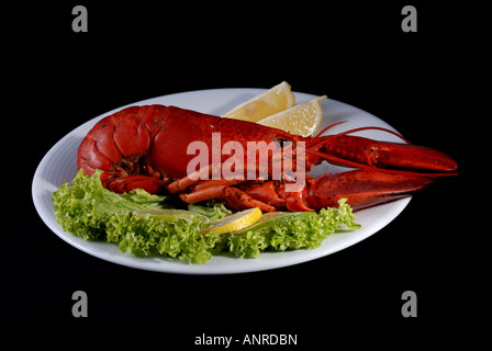 Lobster Dinner served on plate with lemon Stock Photo