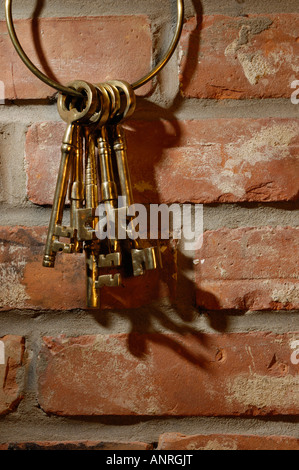 Bunch of old brass skeleton keys hanging on a brick wall Stock Photo
