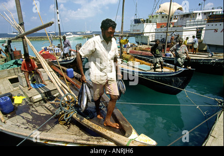 Maldives Male fishing fisherman landing catch in harbour Stock Photo