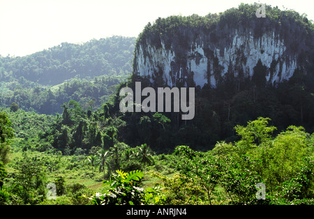 Philippines Palawan marble outcrop near Sabang Stock Photo