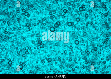 air / gas bubbles in blue viscous liquid Stock Photo
