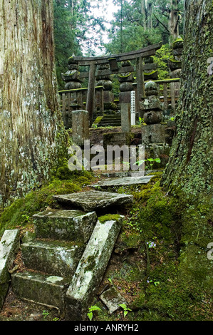 Crumbling mossy steps and a torii gate at Okunoin temple on Koyasan Japan Stock Photo