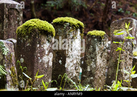 Mossy tombstones at Okunoin temple on Koyasan Japan Stock Photo