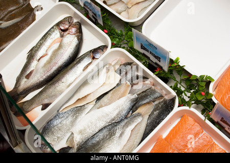 Fresh sea bass whole fish and fillets on sale in fishmonger shop Stock Photo