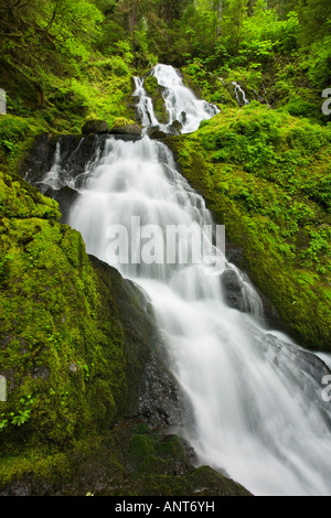 Spring waterfall in rainforest Stock Photo