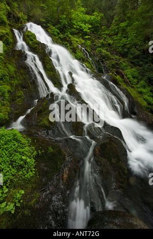 Spring waterfall in rainforest Stock Photo