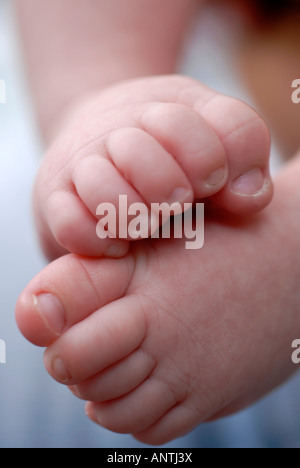 Female feet with toes curled up Stock Photo: 128283888 - Alamy