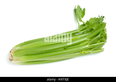 Celery on white background Stock Photo
