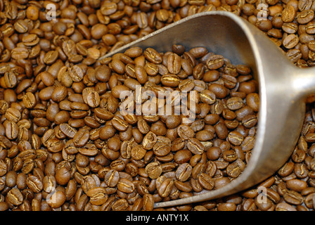 Coffee beans and a metal scoop Stock Photo