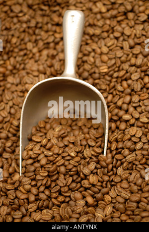Coffee beans close up with a metal scoop Stock Photo