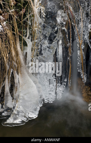 Winter abstract Ice coated grasses along shore of small cascade, Greater Sudbury Ontario Stock Photo