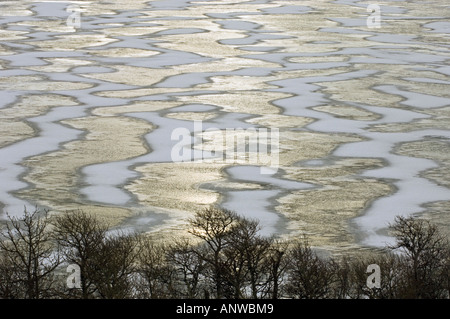 Windswept snow patterns on frozen Lower Waterton Lake, with shoreline oak , Waterton Lakes National Park, Alberta, Canada Stock Photo