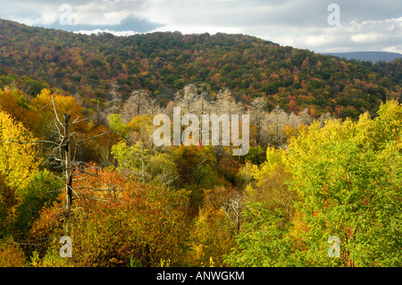 A view from Cherohala Skyway in late October at the peak of the Autumn leaf color season. Stock Photo