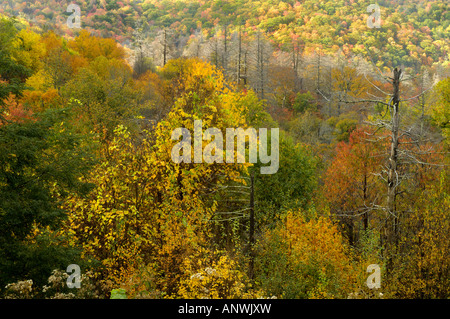 A view from Cherohala Skyway in late October at the peak of the Autumn leaf color season. Stock Photo